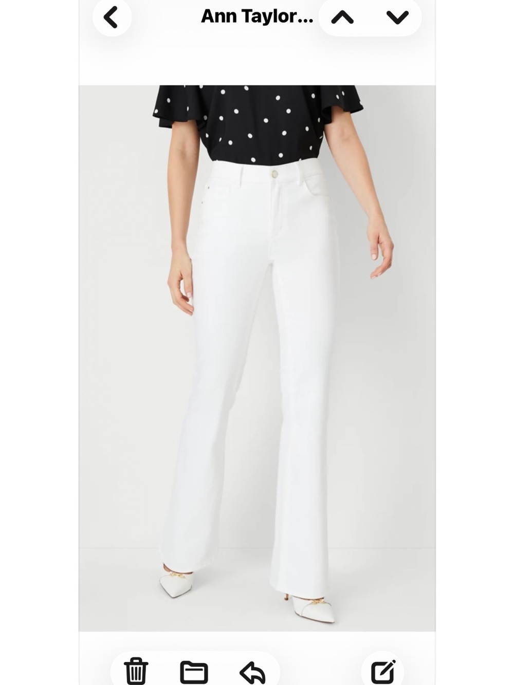 Ann Taylor Bootcut Mid-rise Jeans